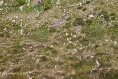 DCIM\100MEDIA\DJI_0057.JPG
